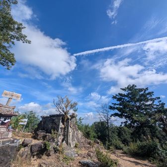 石尊山の直下には短い鎖場があり、鎖を使うほどではなかったけれど、天候によっては岩が滑りやすいため⛓️ありがたや〜🙏

石尊山着いたらひこうき雲〜
「ひこ〜き雲〜」歌いたくなる〜♫