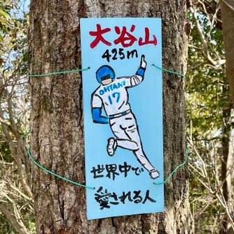 あれっ、いつの間にかこんな看板が⁉️
大谷選手の体格や雰囲気がよく伝わる絵ですね👏