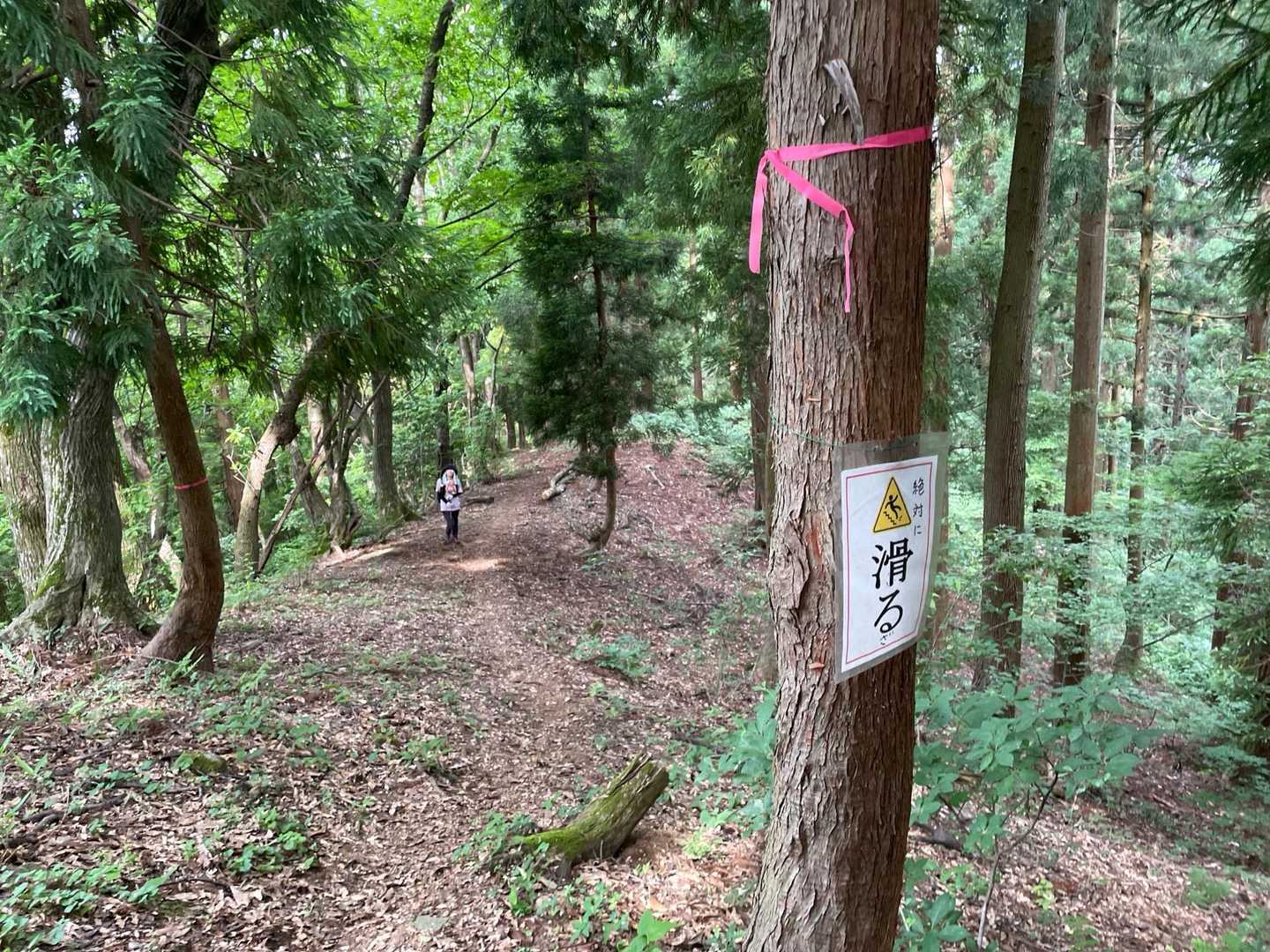 絶対に滑るざ