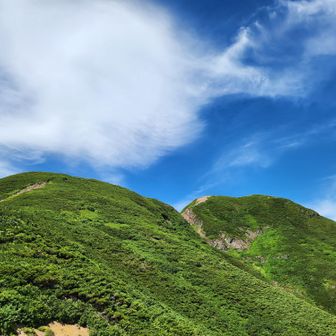 馬の背まで降りてきた。またね👋