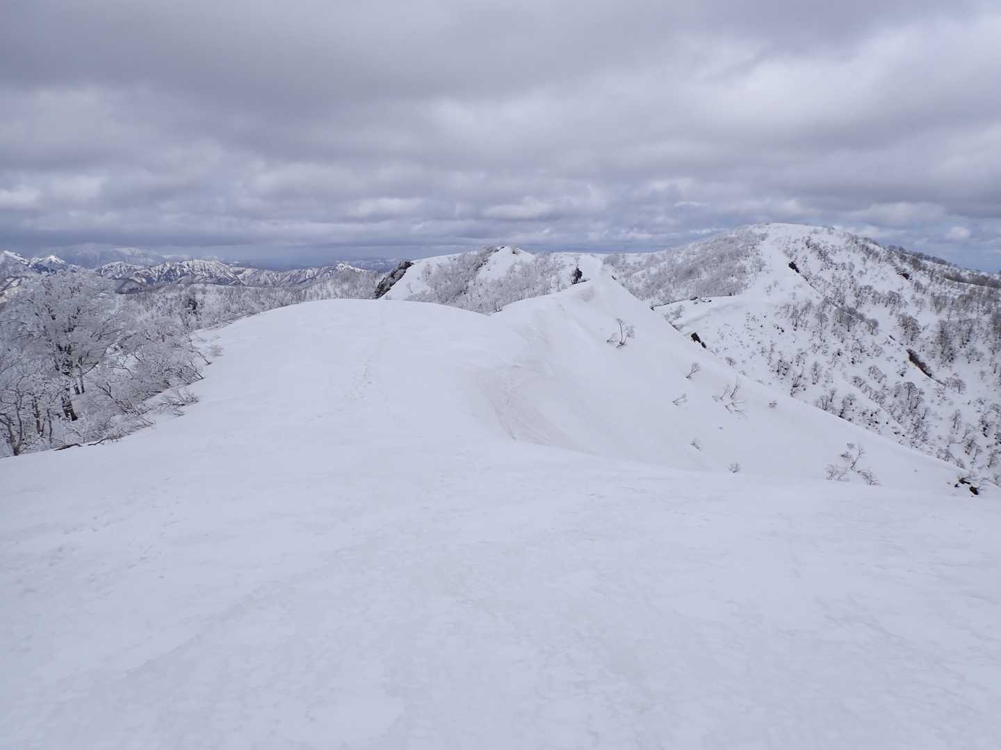 白倉岳1270.7ｍ・・奥に金糞岳。