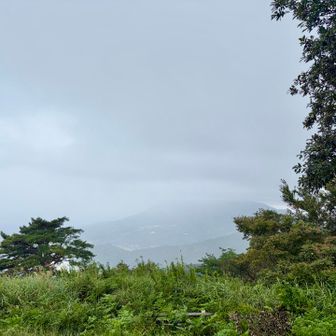 宝篋山山頂は風が強く、肌寒い感じでした🫣