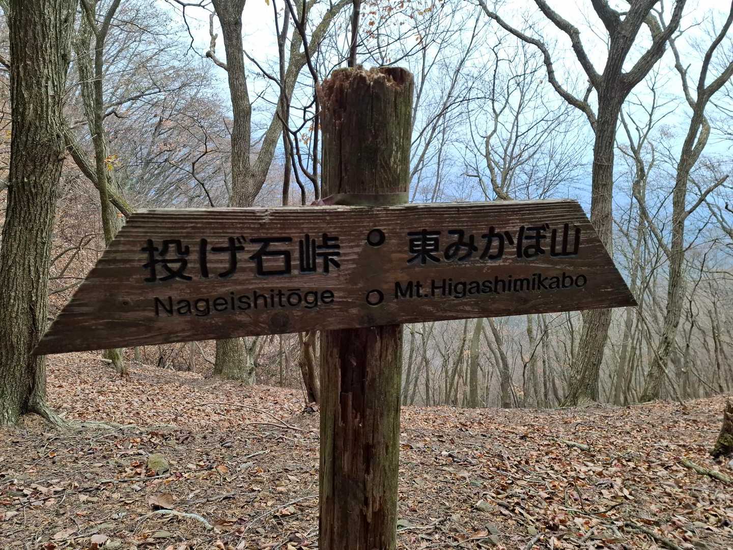 西御荷鉾山南登山口-御荷鉾山-投石峠-東御荷鉾山 周回コースの写真