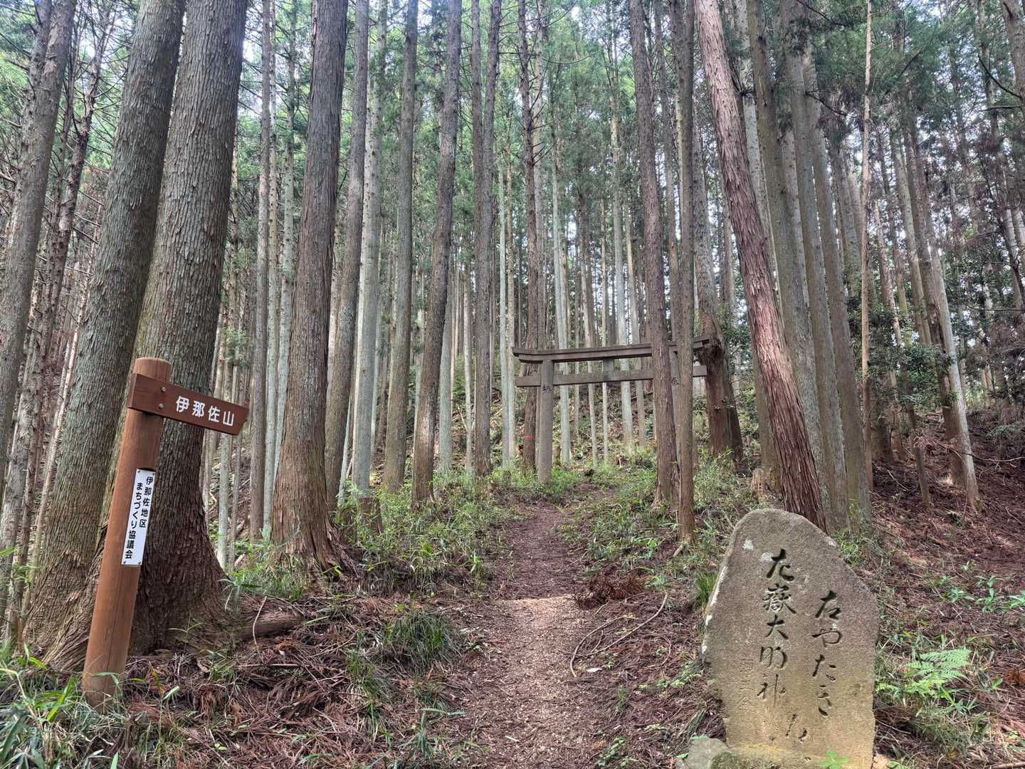 伊那佐山-井足岳 縦走コースの写真
