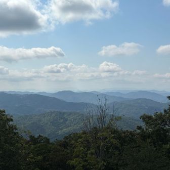 向こうのほうには四国山地も。
写真ではうまく写らないけれど、石鎚方面も見えました🙌