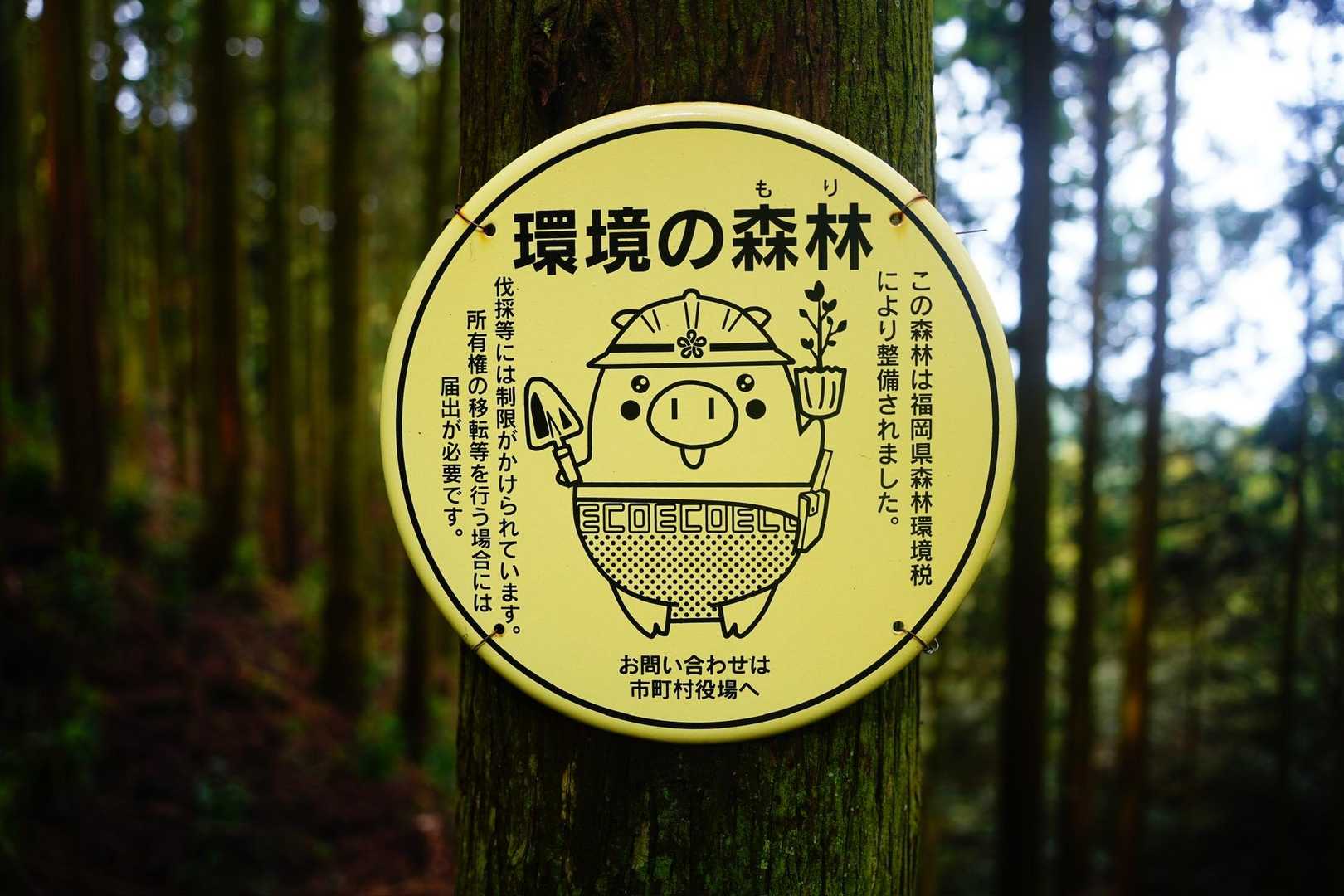 🐽つい撮ってしまったw🐽