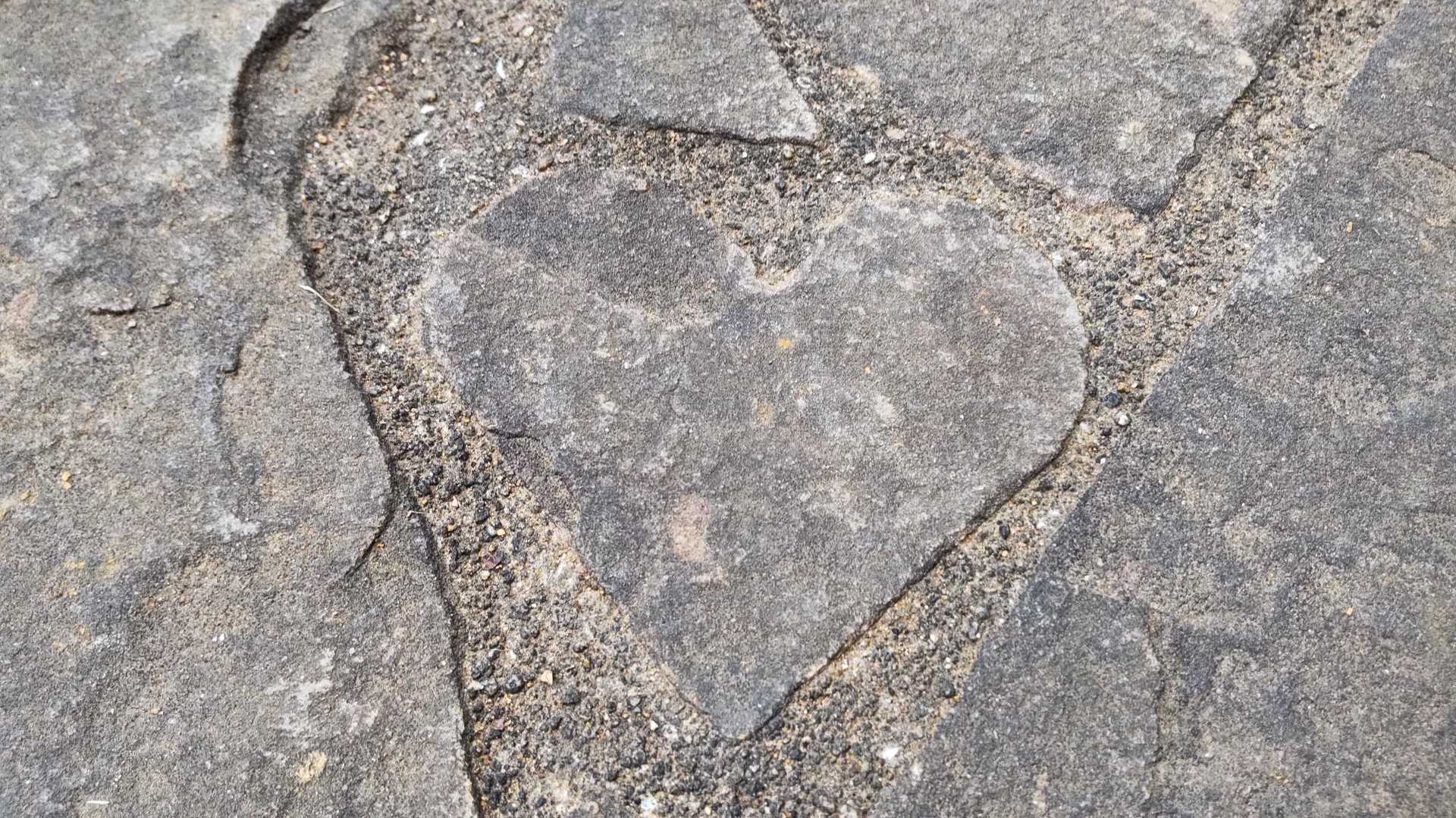 今日の(*˘︶˘*).｡.:*♡
