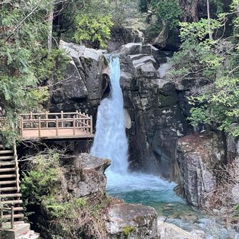 いろいろ整備されてます。