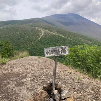 小浅間山（西峰）登頂！雪山の時と全く違う景色です。