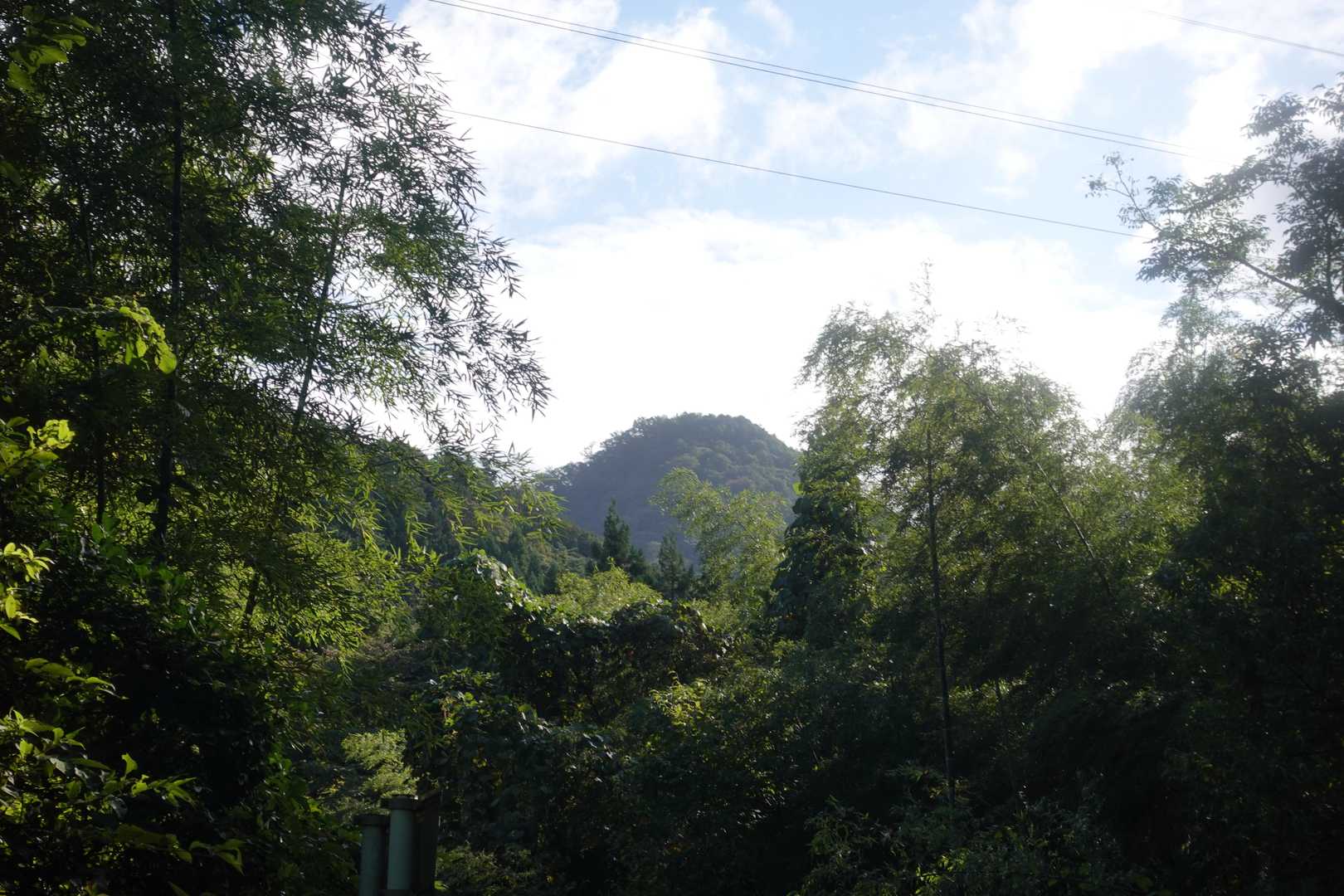 晴れてきました。