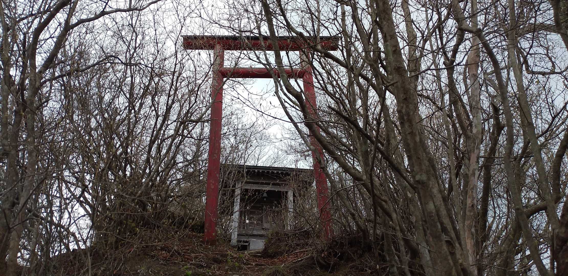 山頂キターー！　なんで鳥居？
この悪路は参道なのかな？