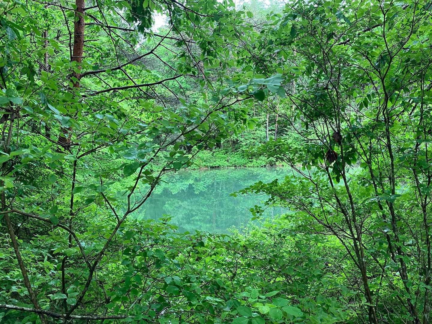 ため池-原山-松倉山-松倉遊歩道入口 縦走コースの写真
