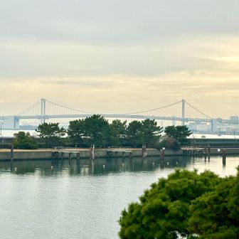 レインボーブリッジが見えた👀
この辺りで海の方の埋立地に2座あるのに気づく😳