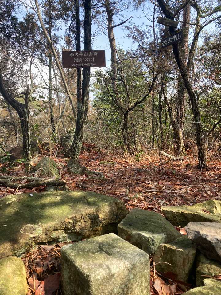 初登頂の西大平山。