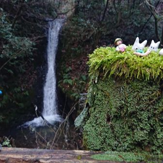 トトロシリーズ♡
ここにもありました◎

よかった！撮影出来て一安心♪
ノルマ達成📷️👍！！