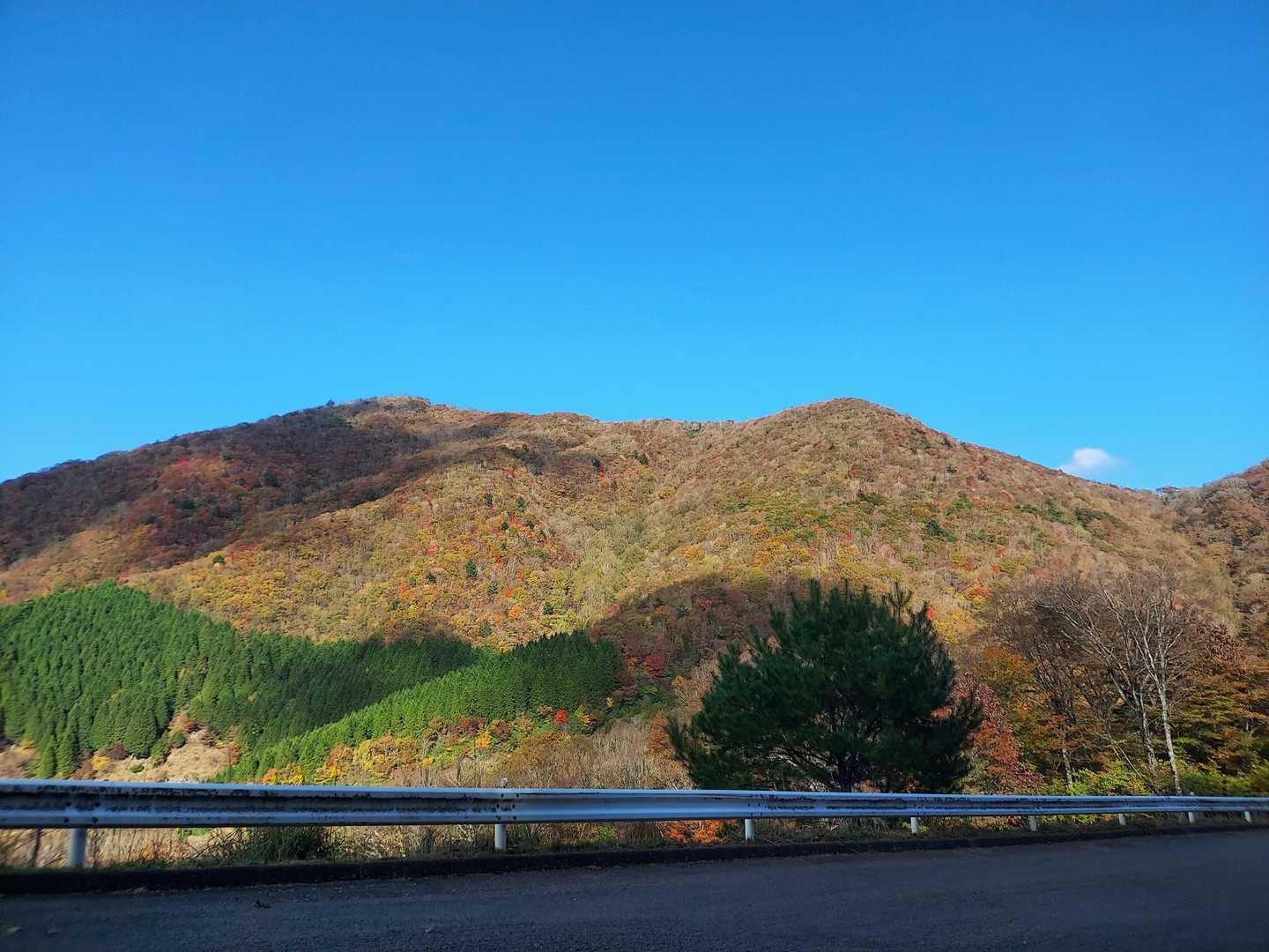 大規模林道をひたすら走り、高塚山登山口に到着したところ🙌
アポロ峠→広貝山→柳野越→白蔵越→三方山→白蔵峠→高塚山登山口👍
大規模林道は全線センターライン有りの高規格道路で快適🤩
紅葉も素敵でした🍁
