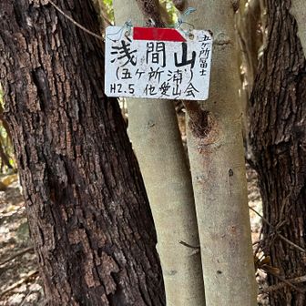 小、中学生だろうか、沢山の子供たちが降りて来た