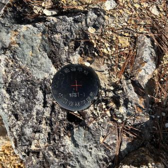 一級基準点　「朝基1-1」

基準点は国土地理院ではなく、公共団体(これは中部森林管理局)が設置した緯度と経度がわかる点。