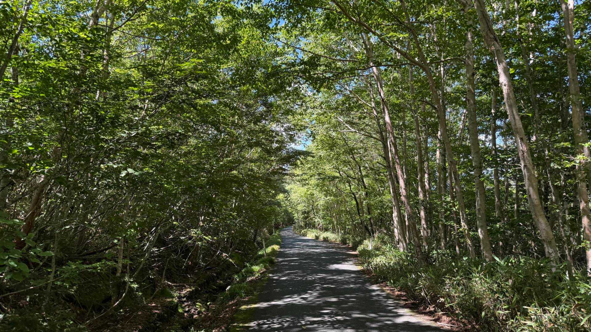 と思ったら道路長いのよ…
膝が痛くなってきた
