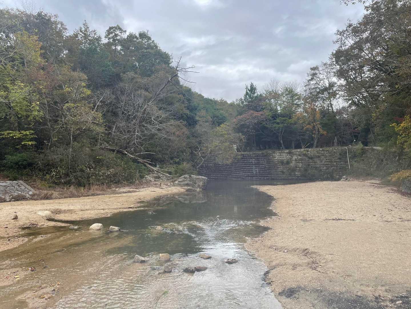公園らしい…