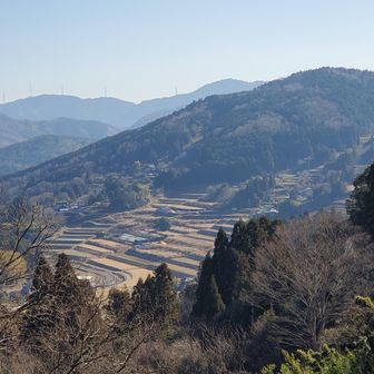 視界が開けると棚田が見えました。とても美しい景色です。
