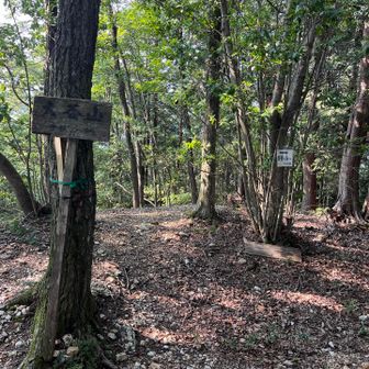 大谷山山頂