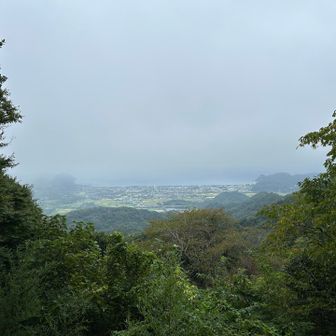 海が見える