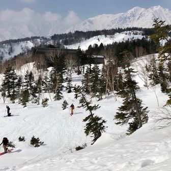 朝２番のロープウェイに乗りバイクアップ開始。
気温は少し高いかな。