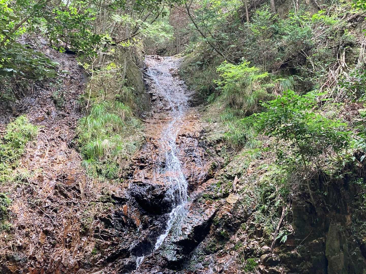 新神戸駅-滝山城跡登山口 縦走コースの写真