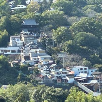 金刀比羅宮の参道を眺めながら。お疲れ山⛰️でした。