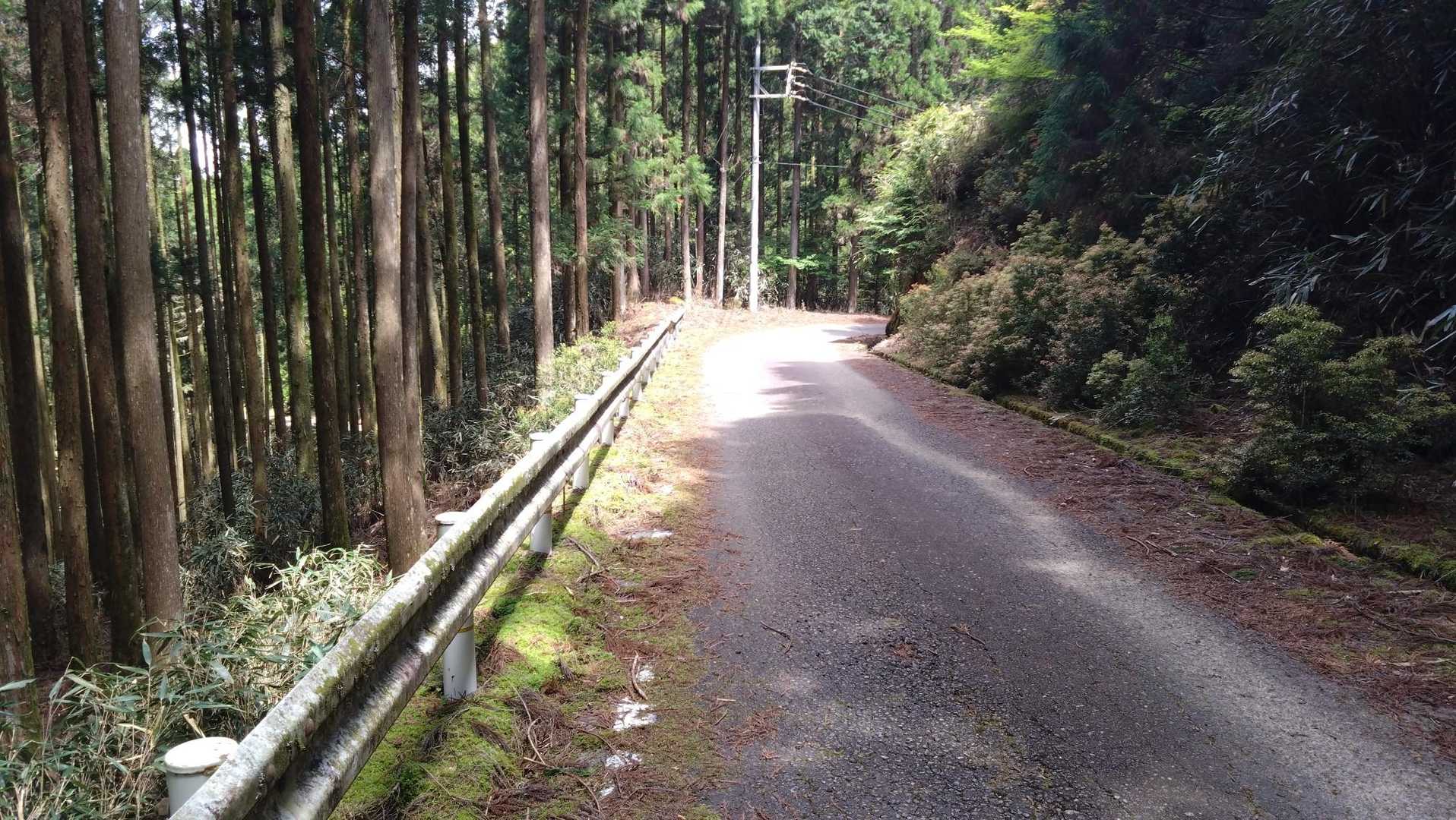 しばらく舗装路を進みます