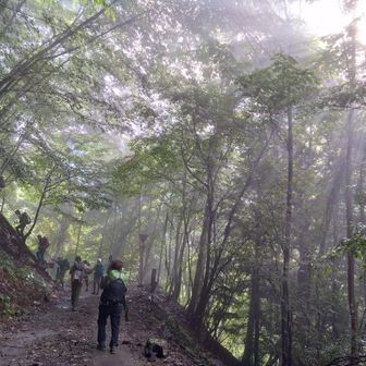 朝もやの中を登ります。