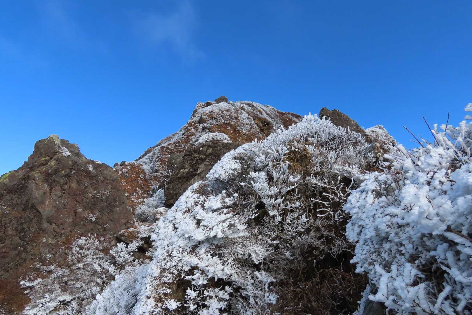 西登山口-由布岳 往復コースの写真
