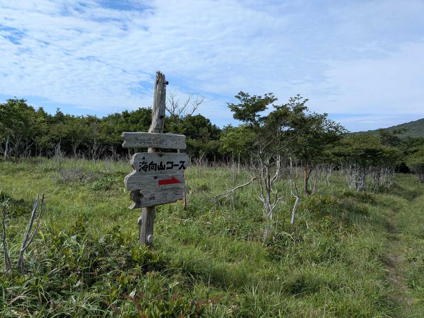 所々に標識とピンテ多数で助かります🙇‍♀️