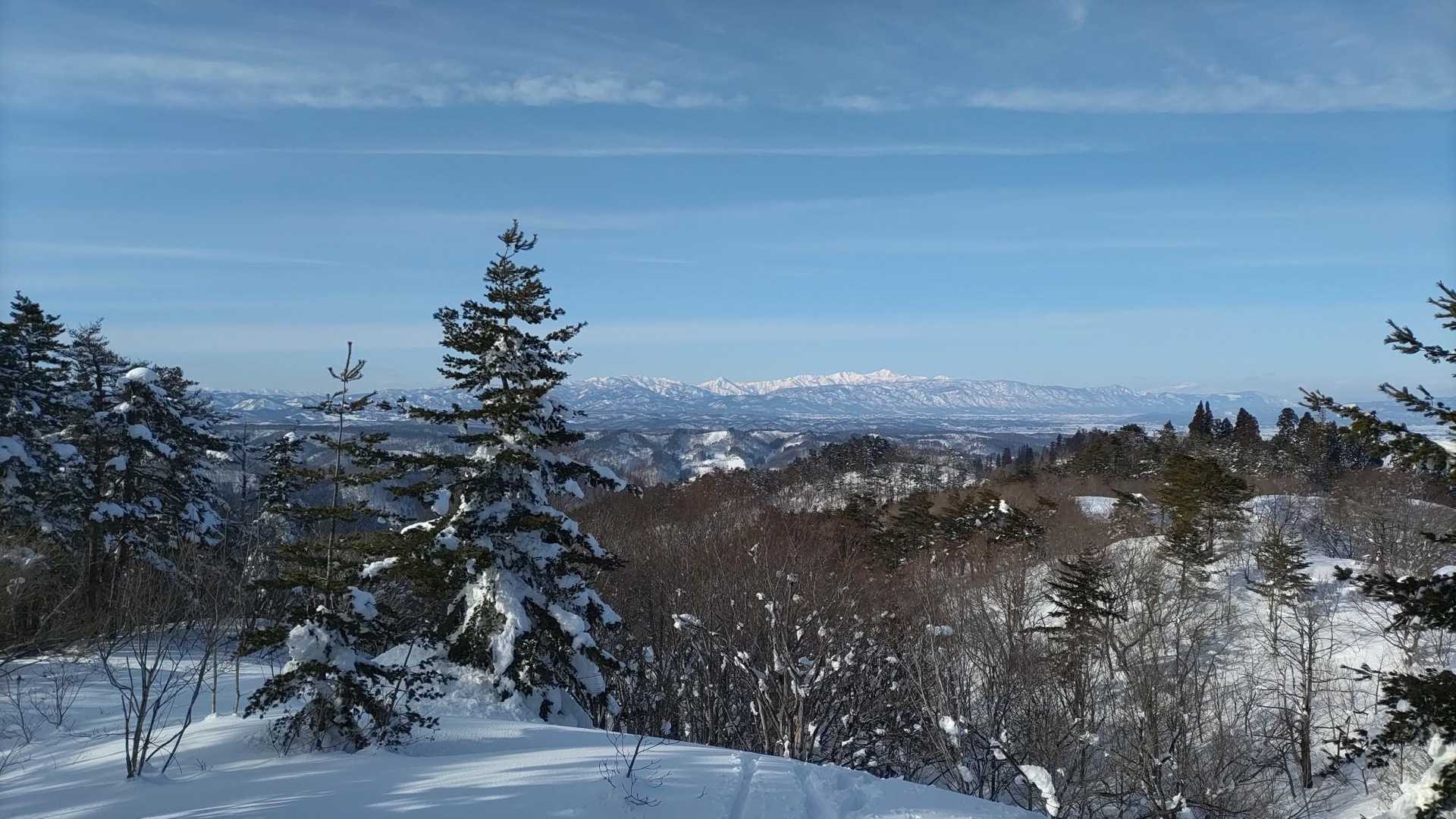 愛宕山 往復コースの写真