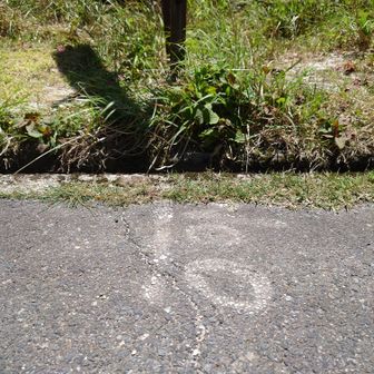 石榑峠にある県境稜線の「０」の標示だそうです。