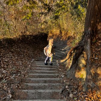 うん、ま、いいわ
早よ降りよ
