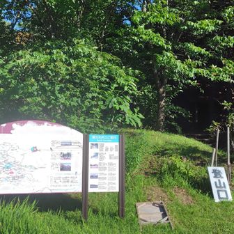駐車場からすぐ登山道入口
標高 607mからスタート💪