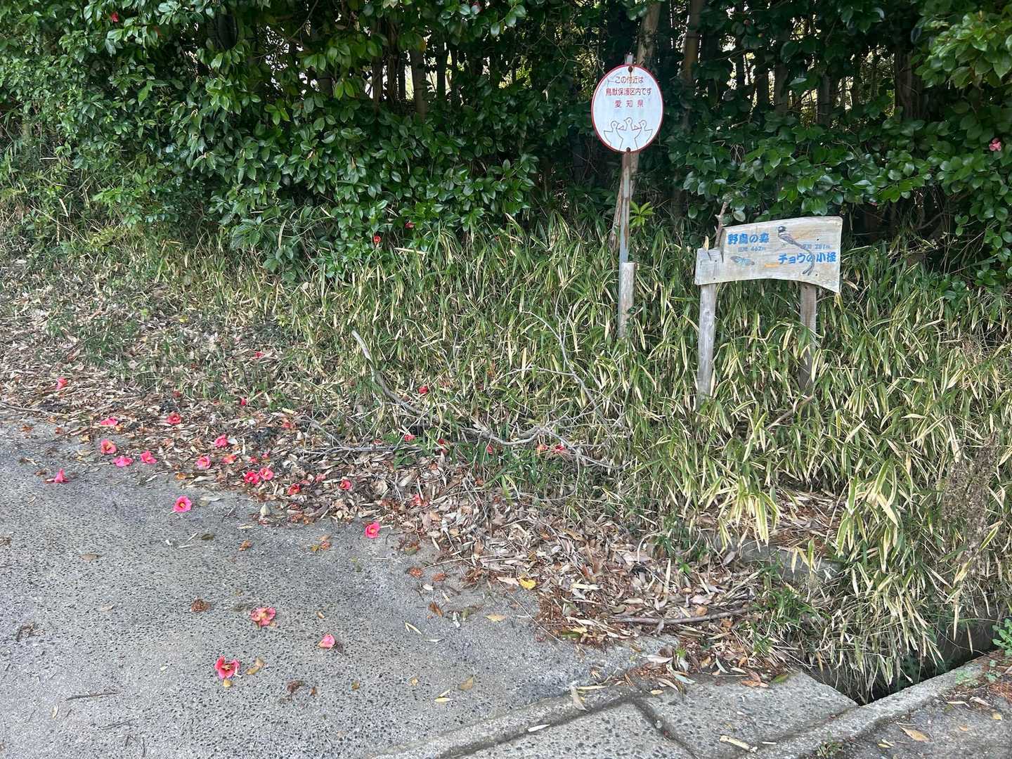 案内看板🪧があるので分かりやすい