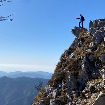 現場猫ポーズ？