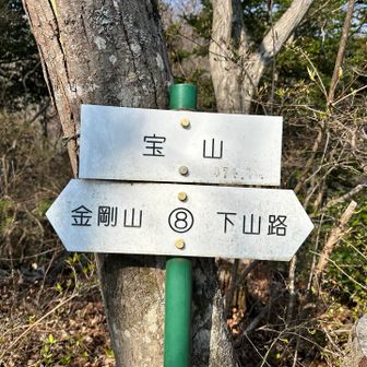 6座目、宝山（標高374m）に到着です❗️