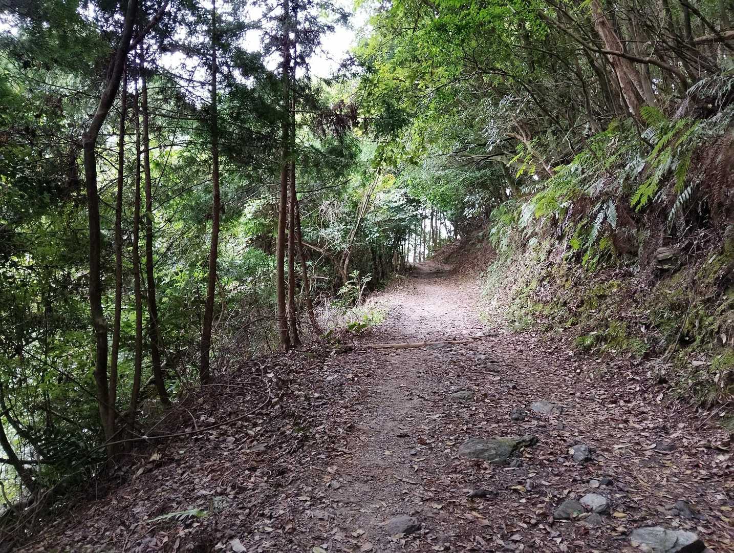 最近、自分の人間関係で盛大な勘違いをしていたことに気付いた。

申し訳ないやら情けないやら恥ずかしいやら腹立たしいやら。