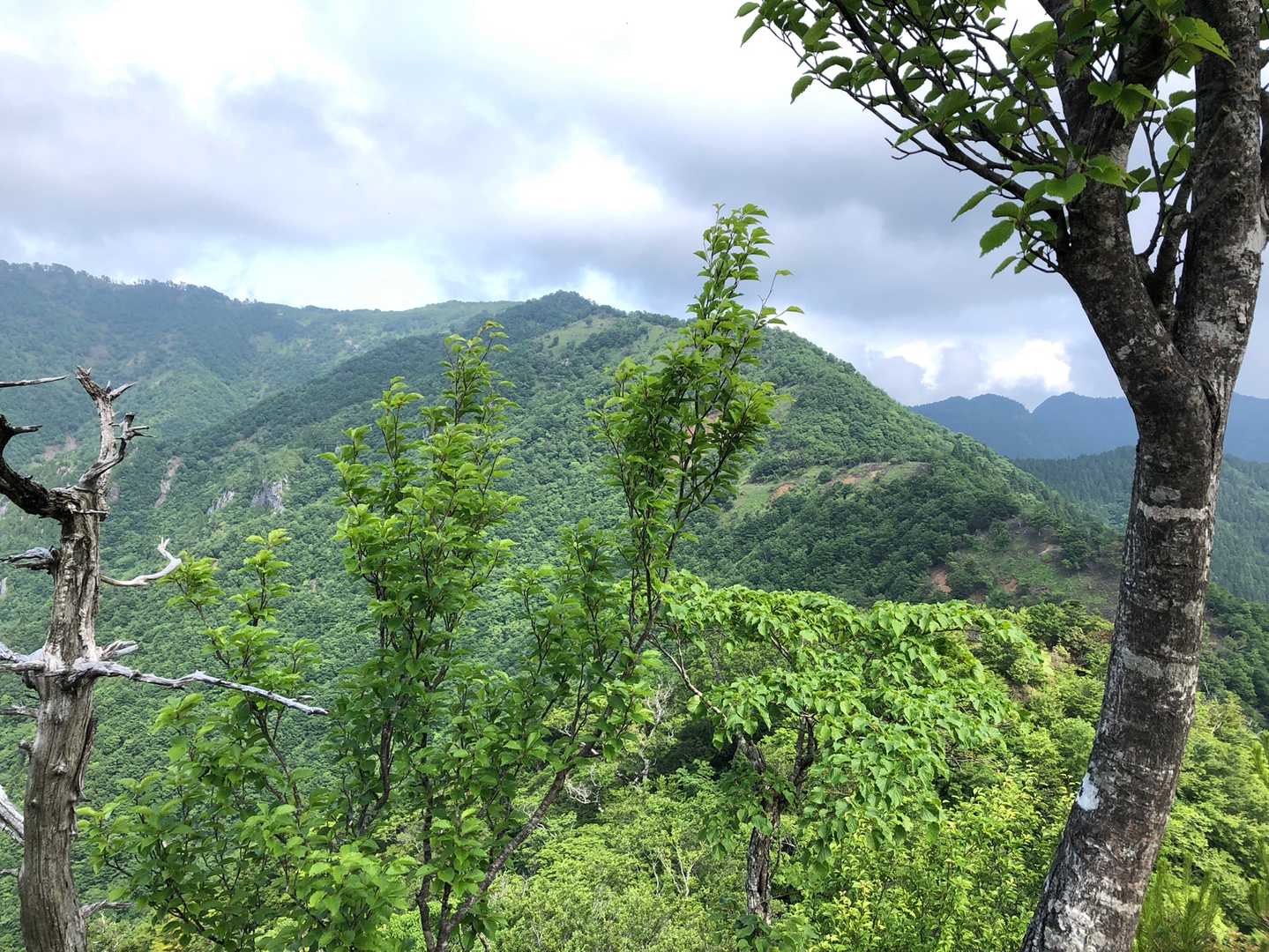 高丸山登山口-三つ尾の峠-高丸山-雲早山 周回コースの写真