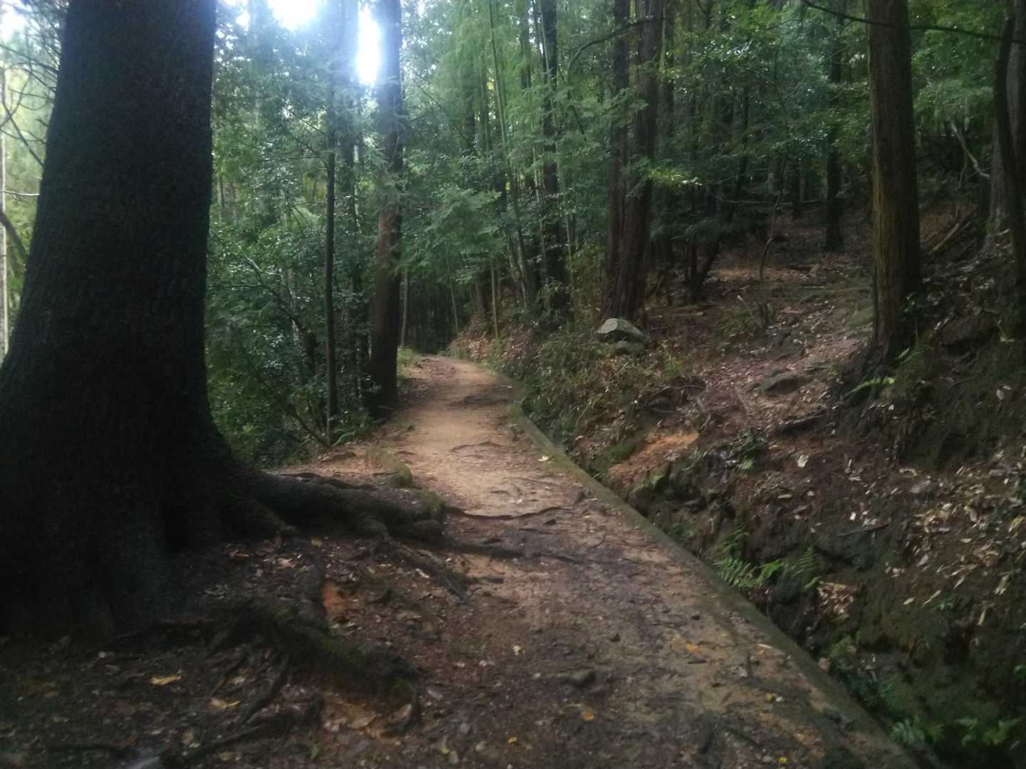 やっと、山の辺の道らしく
