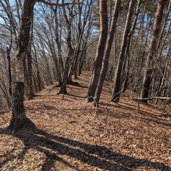 さて、下山しましょ