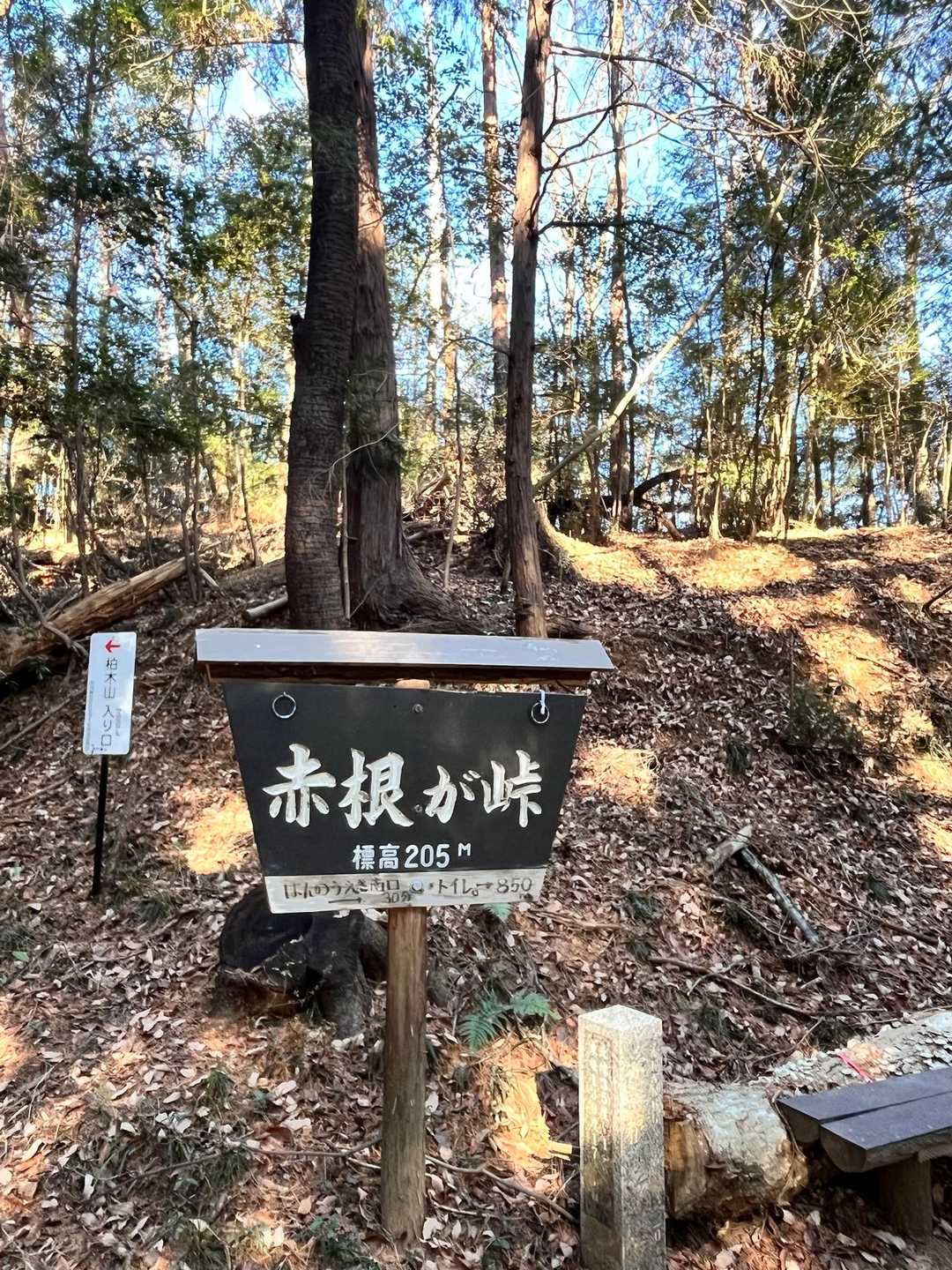 ここまでの道、整備されていて歩きやすいです
途中整備されていら方たちにお会いして、お話しさせていただきました
いつも、ありがとうございます😊