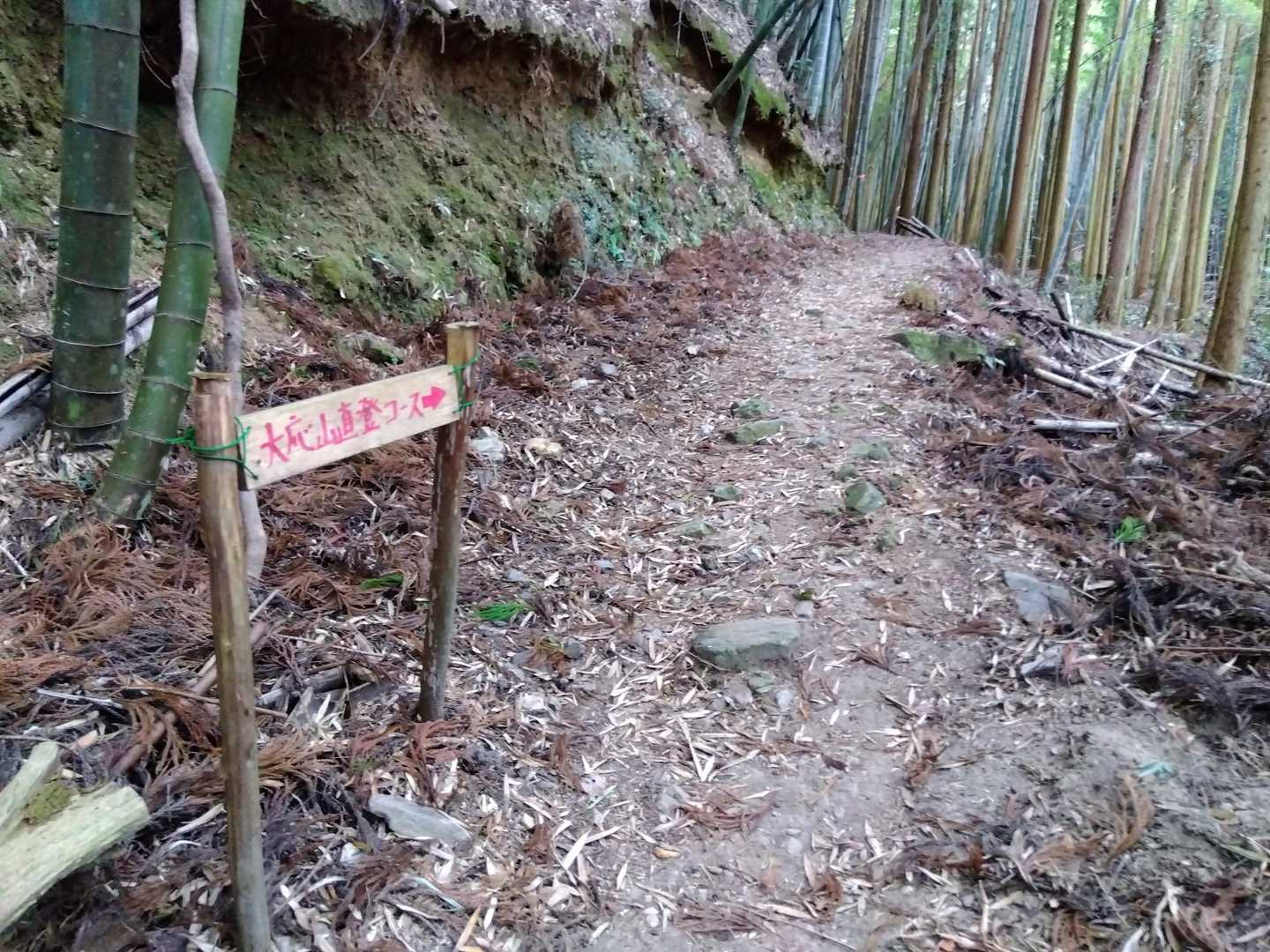 直登コースへ。