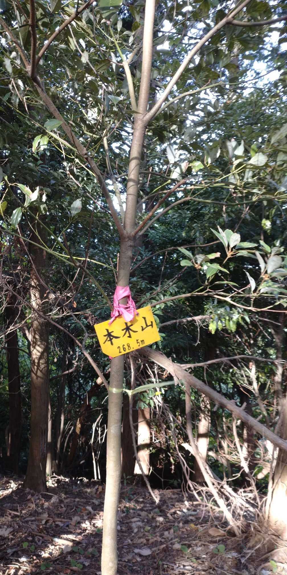 尾根を登っていくと程なく着きます～♪