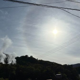 夕方から予報良くないのでハロですね。