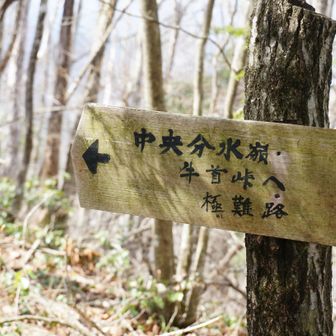 あっちは極難路！だと